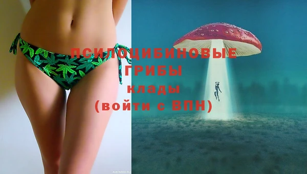 сатива Алексеевка