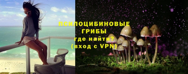 a pvp Алзамай