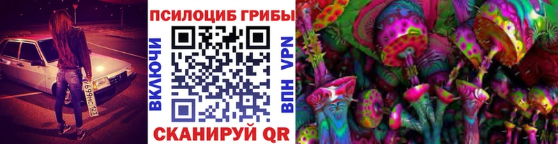 Купить закладки  Заводоуковск  Галлюциногенные грибы мухоморы 