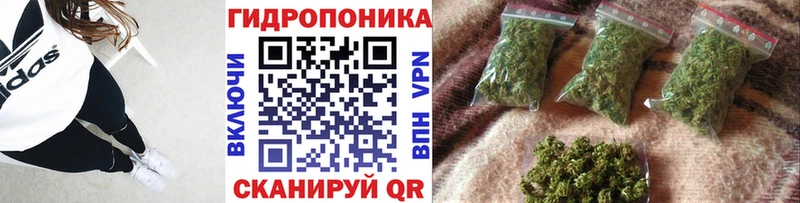 Каннабис SATIVA & INDICA  Купить где  Заводоуковск 
